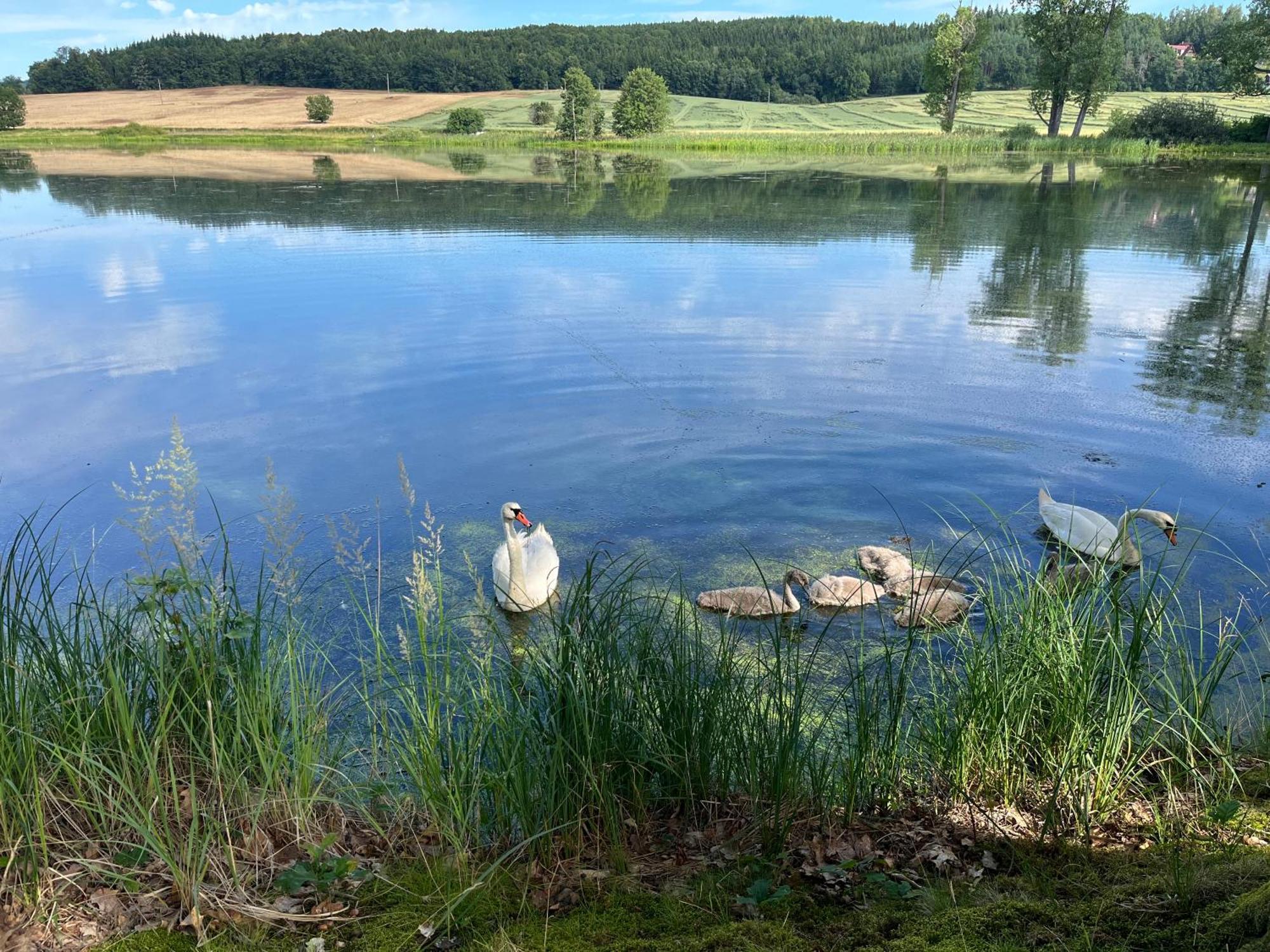Chaty U Žabáka Netolice Exterior foto
